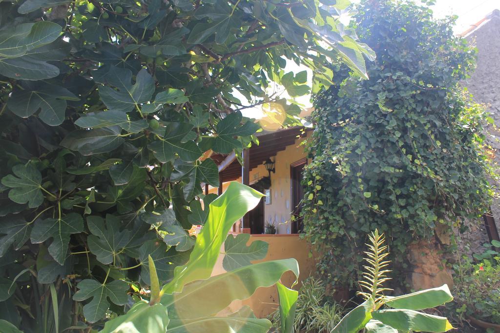Casa Rural Las Rosas Agulo Pokój zdjęcie