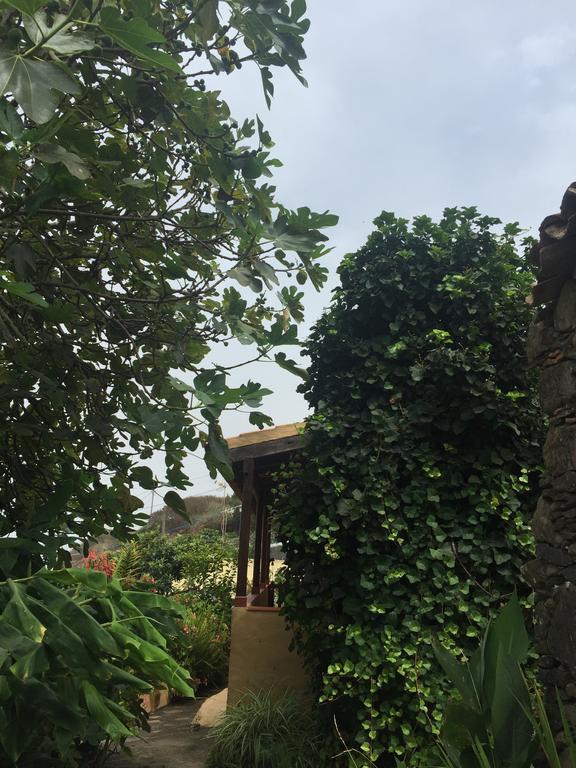 Casa Rural Las Rosas Agulo Zewnętrze zdjęcie