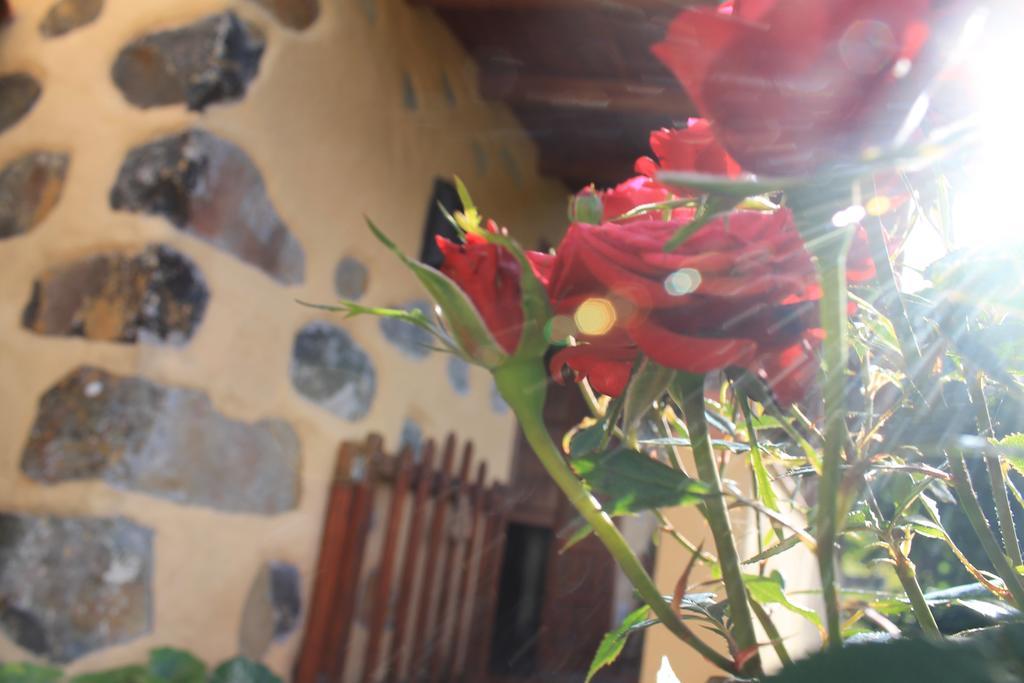 Casa Rural Las Rosas Agulo Zewnętrze zdjęcie